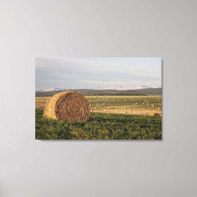 Lienzo Hay Bales En Un Campo Con Montañas Al Amanecer (Anverso)