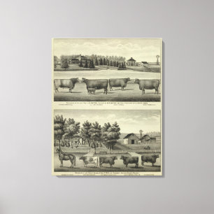Lienzo Hayes, Olathe, y residencia y granja de Ellis