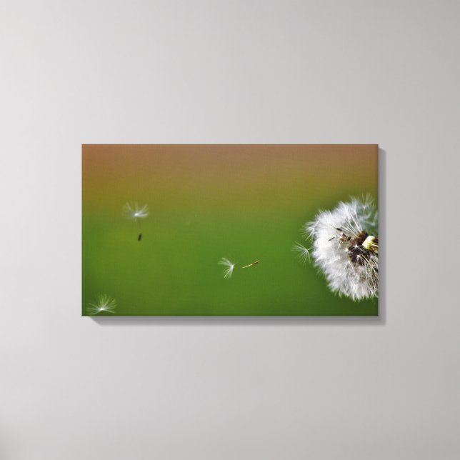 Lienzo ¡Haz un deseo! (Anverso)