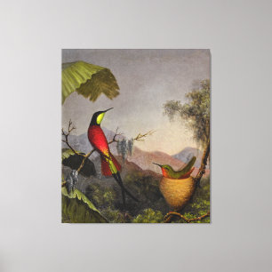 Lienzo HEADE - Crimson Topaz Hummingbirds Nido