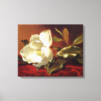Heade - Una magnolia sobre terciopelo rojo