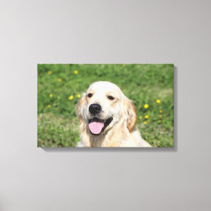 Lienzo Headshot 1 del golden retriever