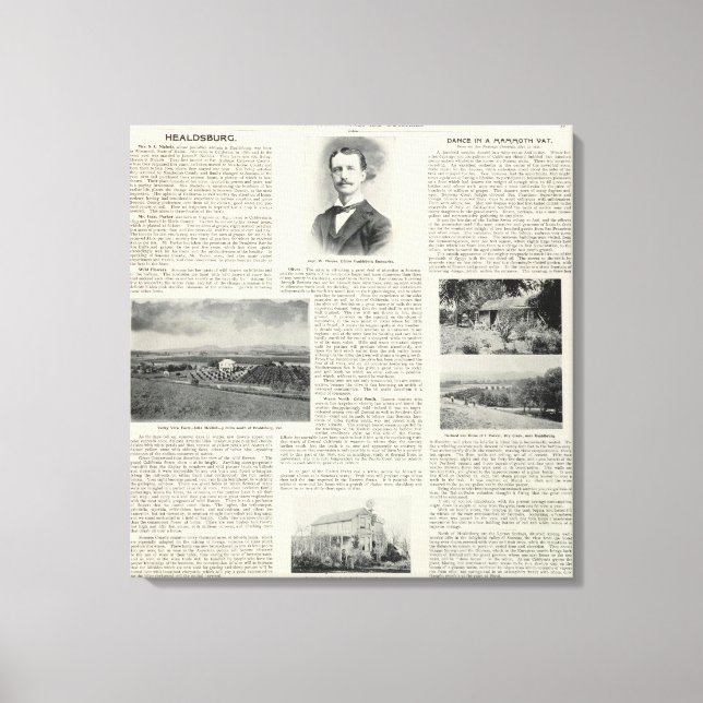 Lienzo Healdsburg, California (Anverso)