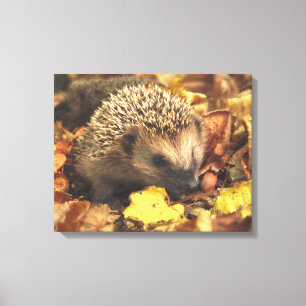 Lienzo Hedgehog En Otoño