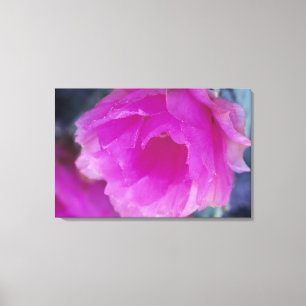 Lienzo Hedgehog Pink Cactus flom (Echinocéreus)