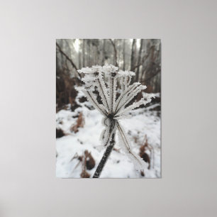 Lienzo heladas de invierno en plantas en la fotografía fo