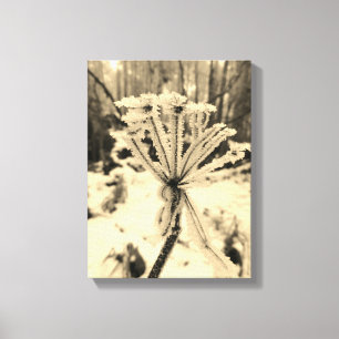 Lienzo heladas de invierno en plantas en la fotografía fo