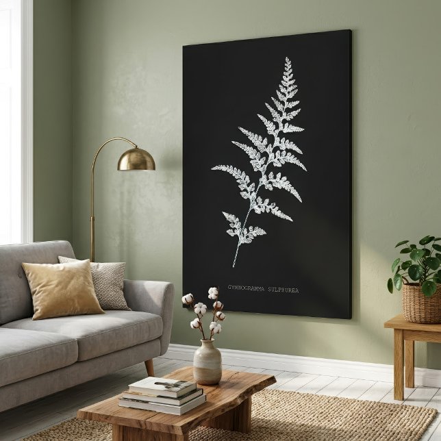 Lienzo Helecho Goldback Jamaicano, Gymnogramma Sulphurea (Jamaican Goldback Fern, Gymnogramma Sulphurea. Canvas Print )