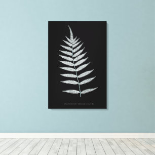 Lienzo Helecho - Polypodyum Fraxinifolium - efecto de ray