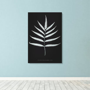 Lienzo Helecho - Polypodyum Grandidens - Efecto de rayos