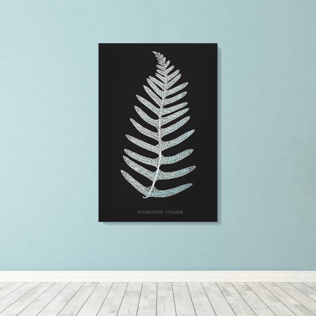 Lienzo Helecho - Polypodyum Vulgare - Efecto de rayos X - (Insitu (piso de madera))