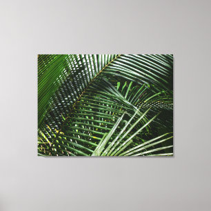 Lienzo Helechos en una selva tropical costera