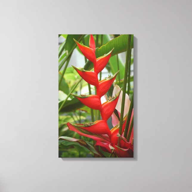 Lienzo Heliconia Roja (Anverso)