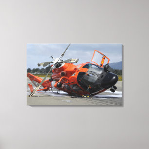 Lienzo Helicóptero del delfín MH-65 estrellado en Arcat