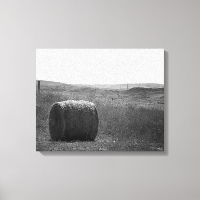 Lienzo Heno blanco y negro en un campo Wyoming 16x20 (Anverso)