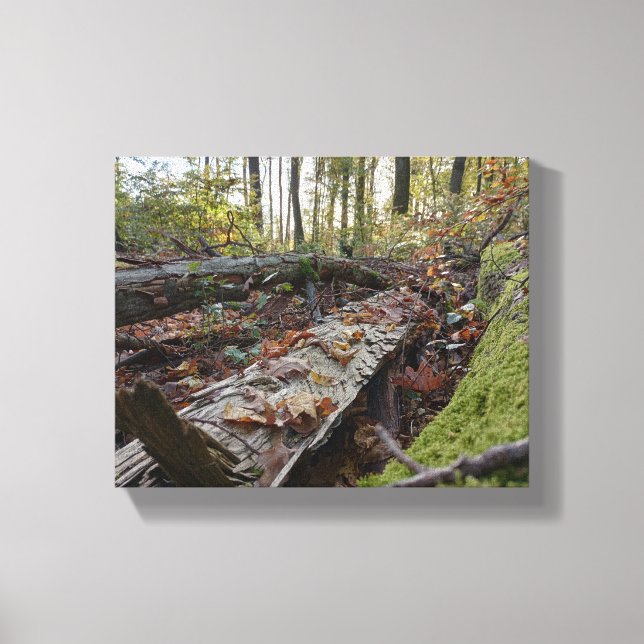 Lienzo Herbst (Anverso)