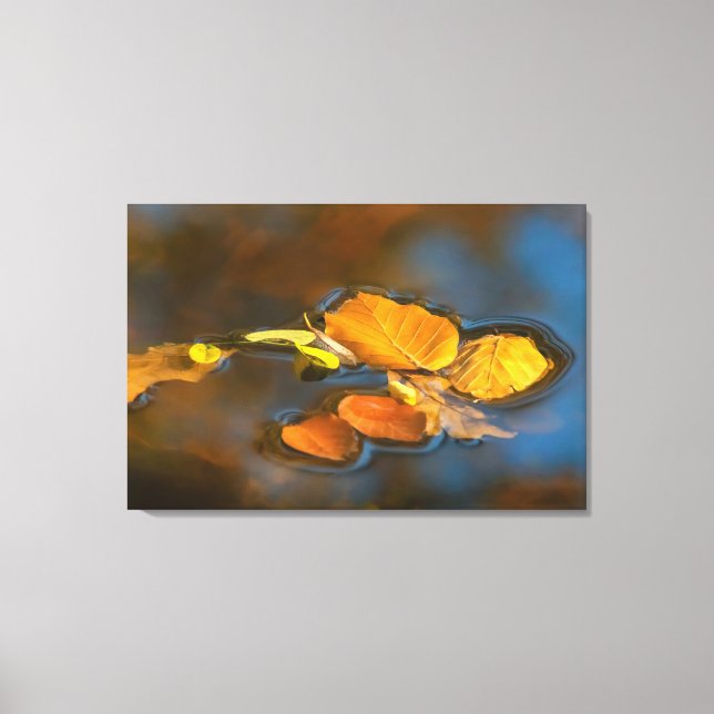 Lienzo Herbstblätter im See (Anverso)