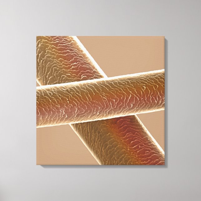 Lienzo Heridas (Anverso)