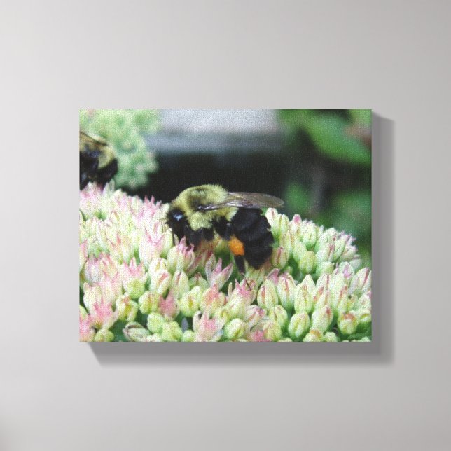 Lienzo Hermosa Abeja Alimentaria (Anverso)