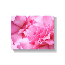 Hermosa abstracta preciosa rosa rosa floral modern
