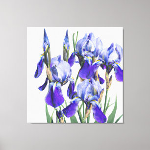 Lienzo Hermosa acuarela azul Iris Flores P
