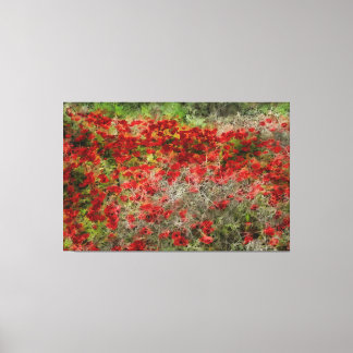Lienzo Hermosa anémona de flores silvestres rojas abstrac