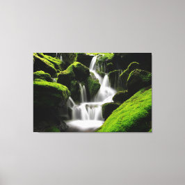 Lienzo Hermosa cascada Moss Rocks Nature Photography