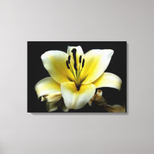 Hermosa Elegante Amarillo sobre Flor Negra