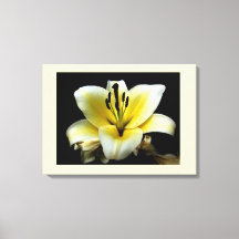 Hermosa Elegante Amarillo sobre Flor Negra