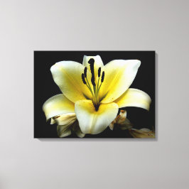 Lienzo Hermosa Elegante Amarillo sobre Flor Negra