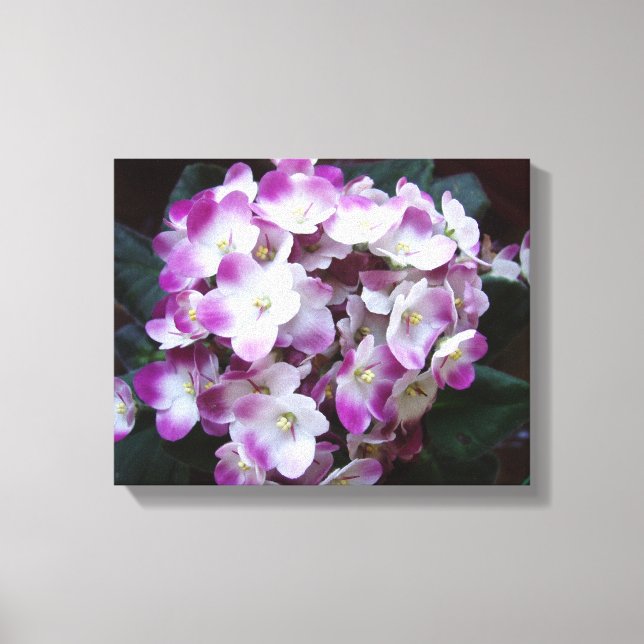 Lienzo Hermosa Flor (Anverso)