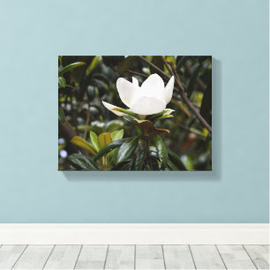Lienzo Hermosa Flor de Magnolia