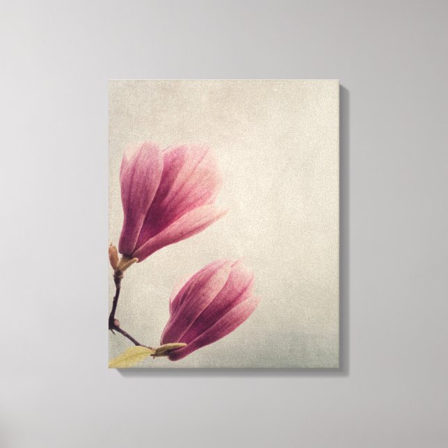 Lienzo Hermosa flor de magnolia pastel (Anverso)