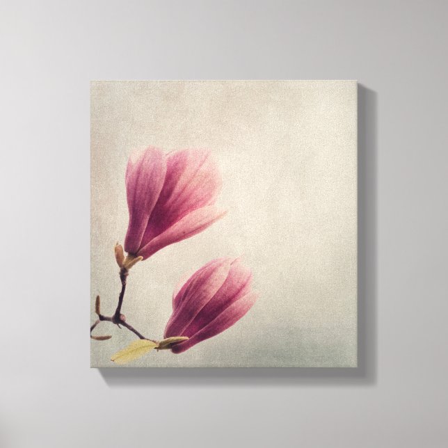 Lienzo Hermosa flor de magnolia pastel (Anverso)