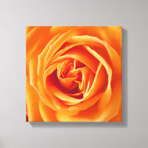 Lienzo Hermosa Flor de Rosa Amarilla Floral