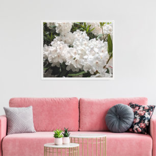 Lienzo Hermosa floral blanca de Rododendron