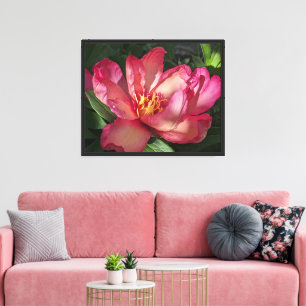 Lienzo Hermosa floral de color rosa peón