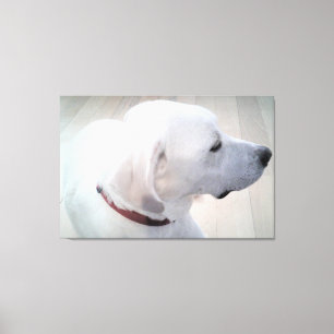 Lienzo Hermosa foto de perfil de perro mezcla de Labrador