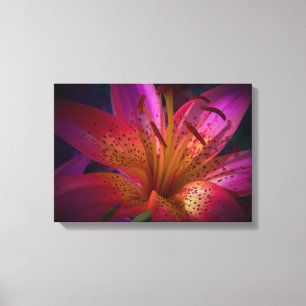 Lienzo Hermosa Lily Rosa