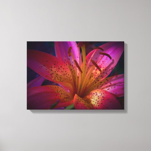 Lienzo Hermosa Lily Rosa (Anverso)