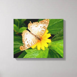 Lienzo hermosa mariposa blanca polilla flor amarilla