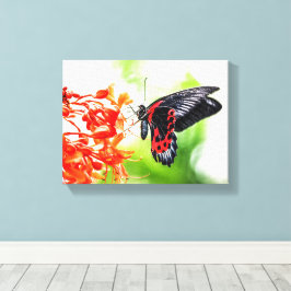 Lienzo Hermosa mariposa negra y roja inspira a la natural