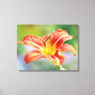 Lienzo Hermosa Naranja y flor amarilla