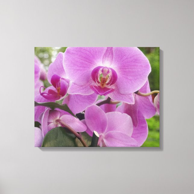 Lienzo Hermosa orquídea morada en flor. (Anverso)