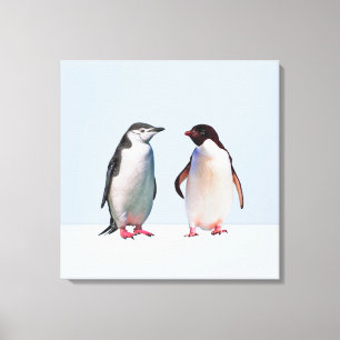 Lienzo Hermosa pareja de pingüinos en azul pervinca claro