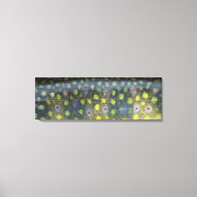 Lienzo Hermosa piel, río Jordan Brookie" (Anverso)