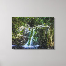 Hermosa pintura acuática de cascada