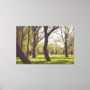 Lienzo Hermosa pradera