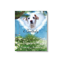 Hermosa pradera agrega tu Mascota de fotos