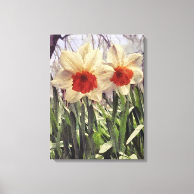 Lienzo Hermosa Primavera Pintada Flor Daffodil (Anverso)
